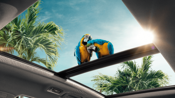 чери тиго 7 про крыша