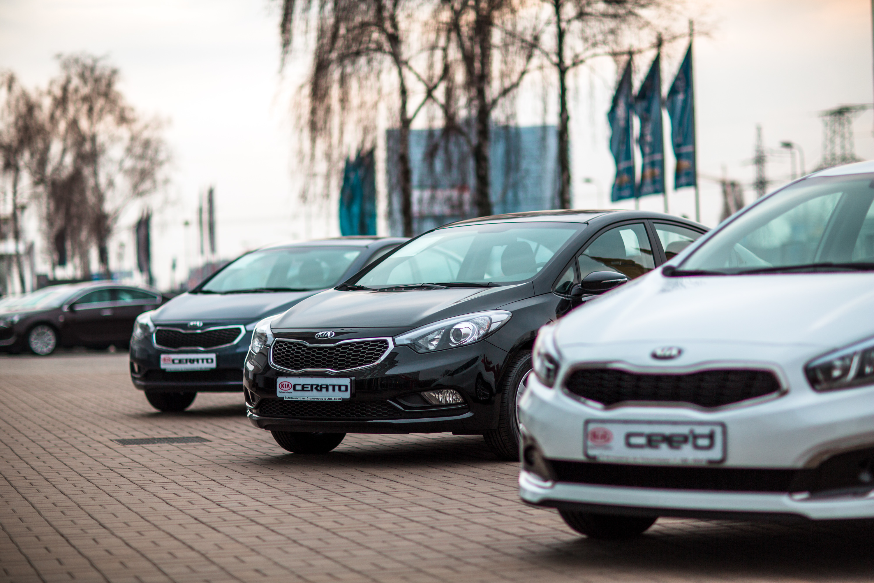 Наиболее популярные модели Kia доступны по новым привлекательным ценам!